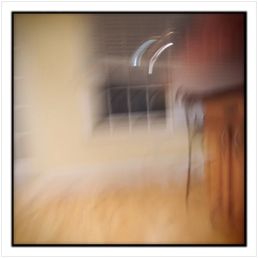 unintentional picture (embiggenable)