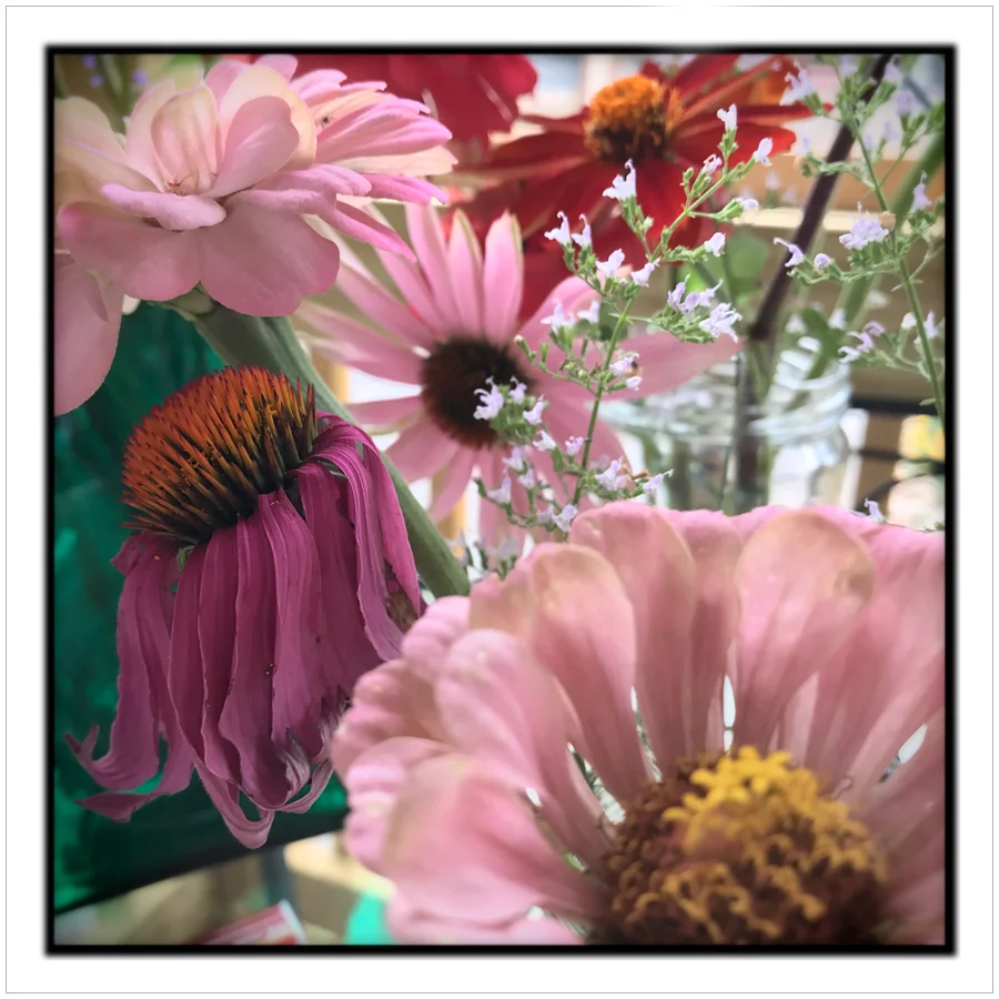 flowersclosesq.jpg