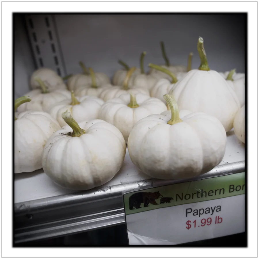 at the grocery store ~ Long Lake, NY • in the Adirondack PARK (embiggenable) - picture made with a "real" camera