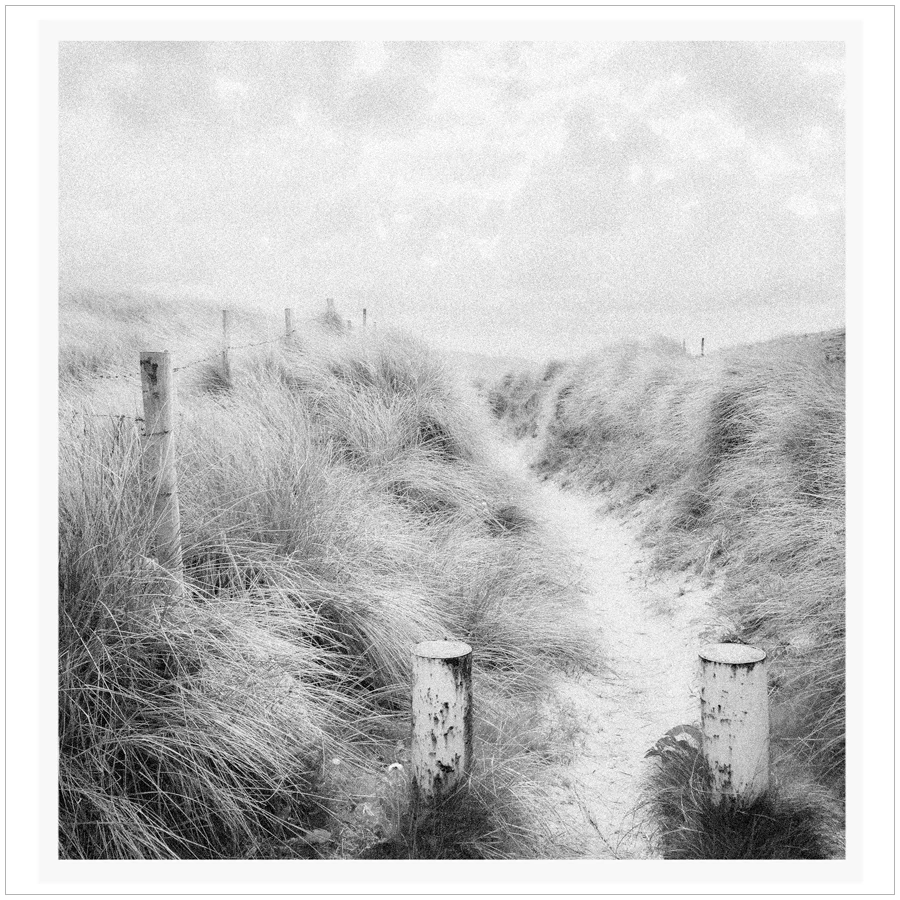 dune path ~ near Ardara, Ireland (embiggenable) • µ4/3