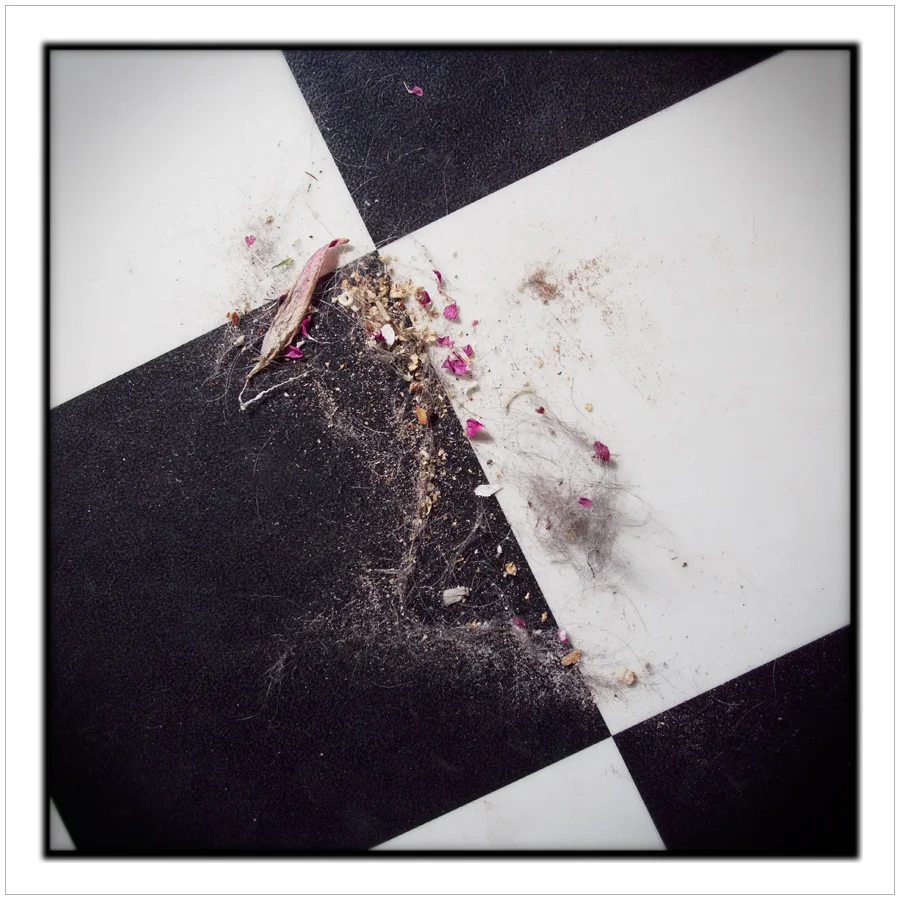 floor sweepings ~ (embiggenable) • µ4/3