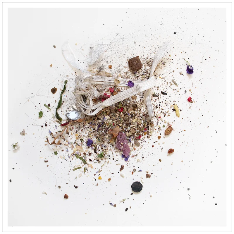 sweepings ~ in the Adirondack PARK (embiggenable) • µ4/3