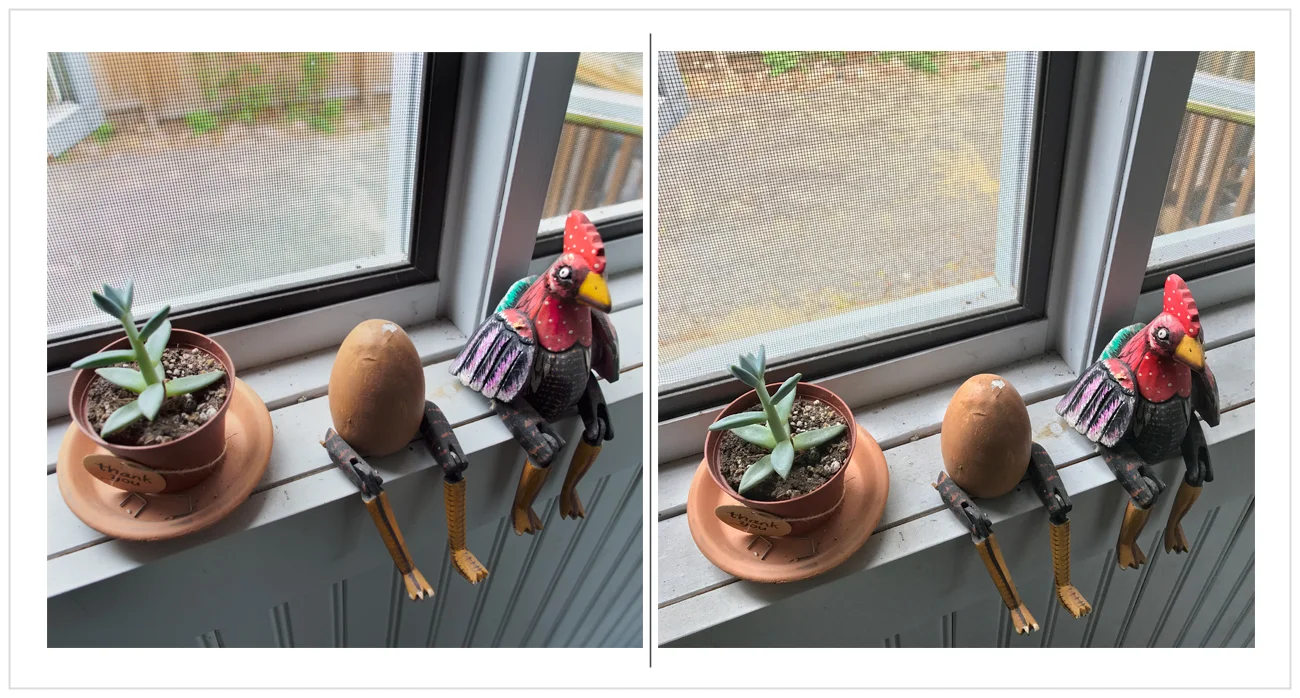 sill sitters ~ embiggenable) • µ4/3 / iPhone