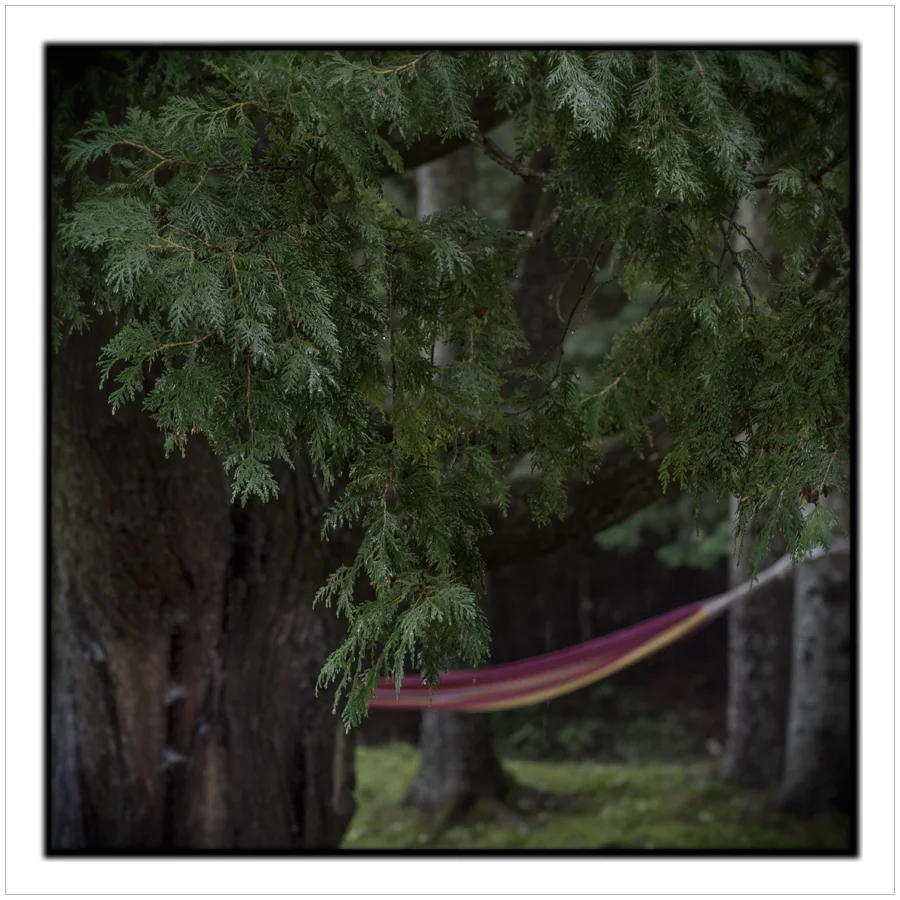 (embiggenable) • µ4/3