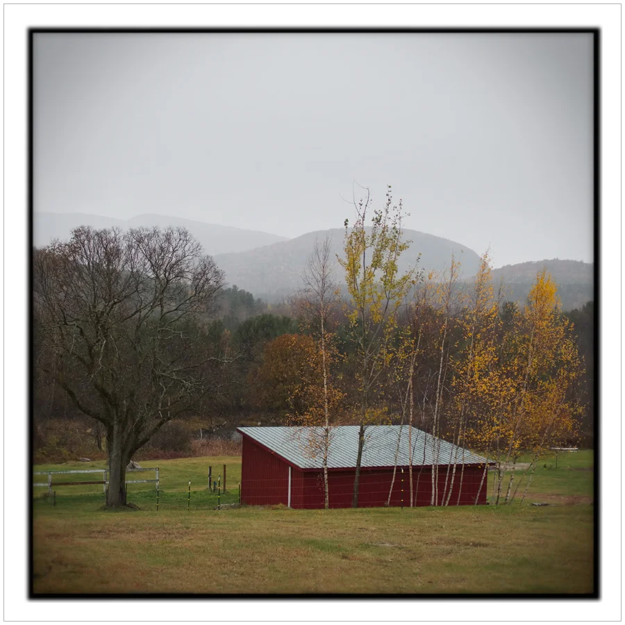 adklandscape5.jpg