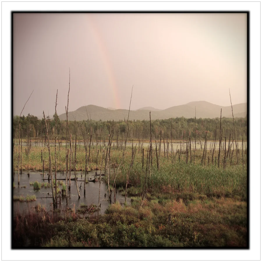 adklandscape27.jpg