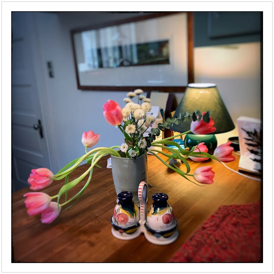 tulips ~ (embiggenable) • iPhone