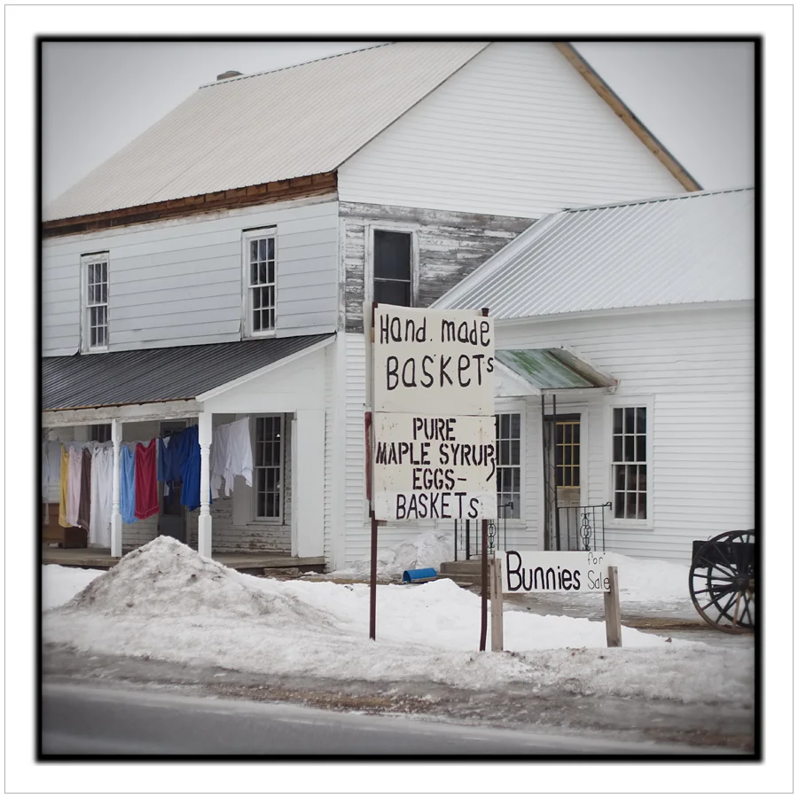 hand made baskets and bunnies ~ Amish country outside of Canton, NY (embiggenable) • µ4/3