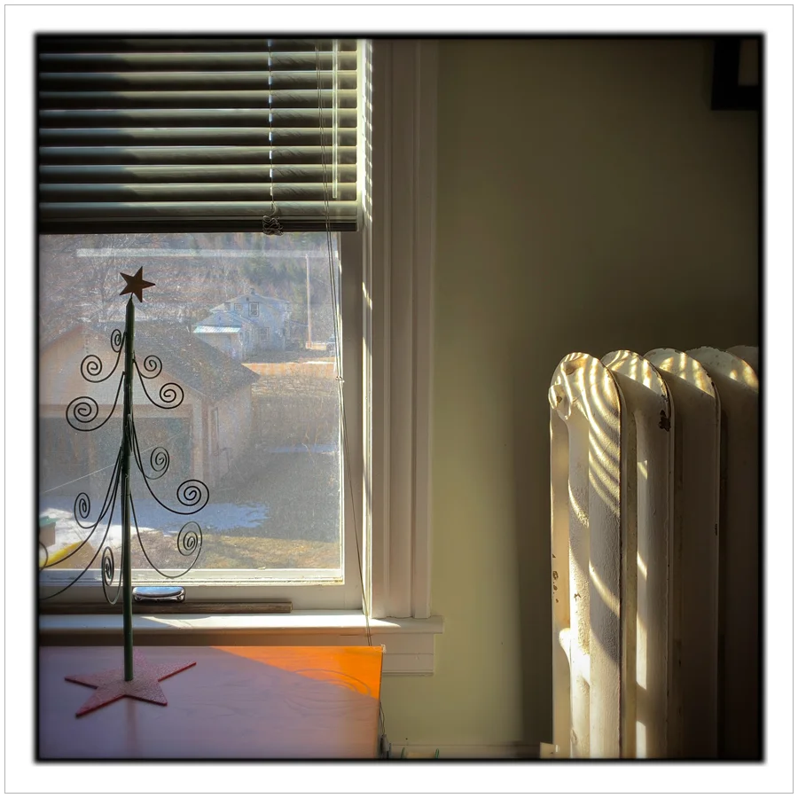 morning light ~ (embiggenable) • iPhone