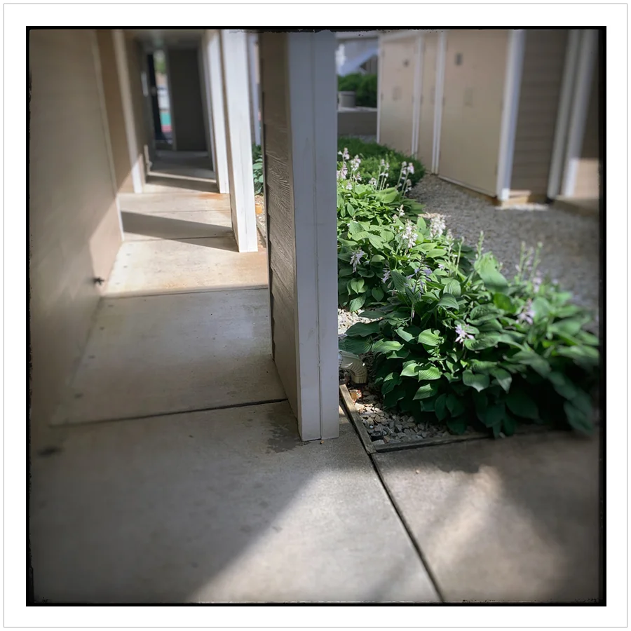 (embiggenable) • iPhone