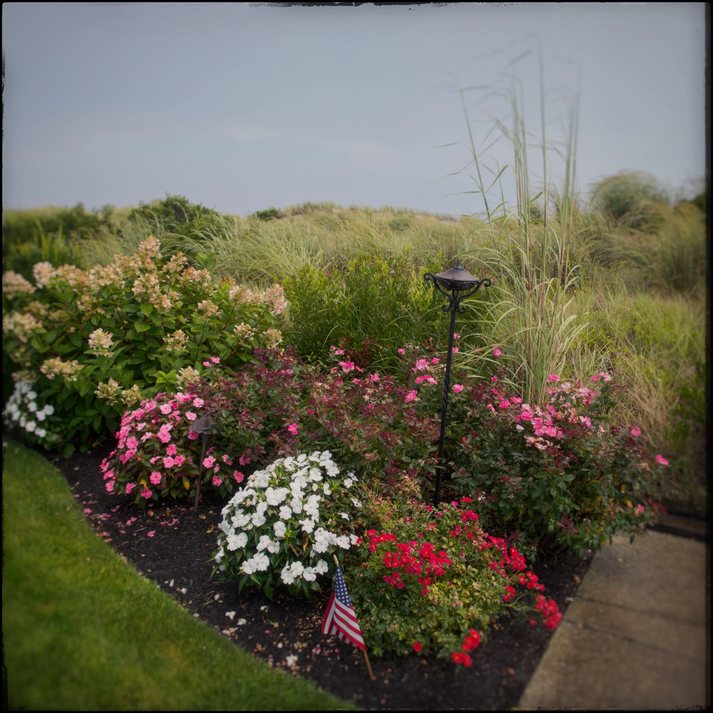 dune after rain ~ Stone Harbor, NY (embiggenable) • iPhone