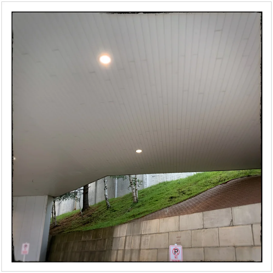 a glimpse of the natural world ~ 1980 Olympic “Miracle On Ice” arena/Lake Placid, NY (embiggenable) • iPhone