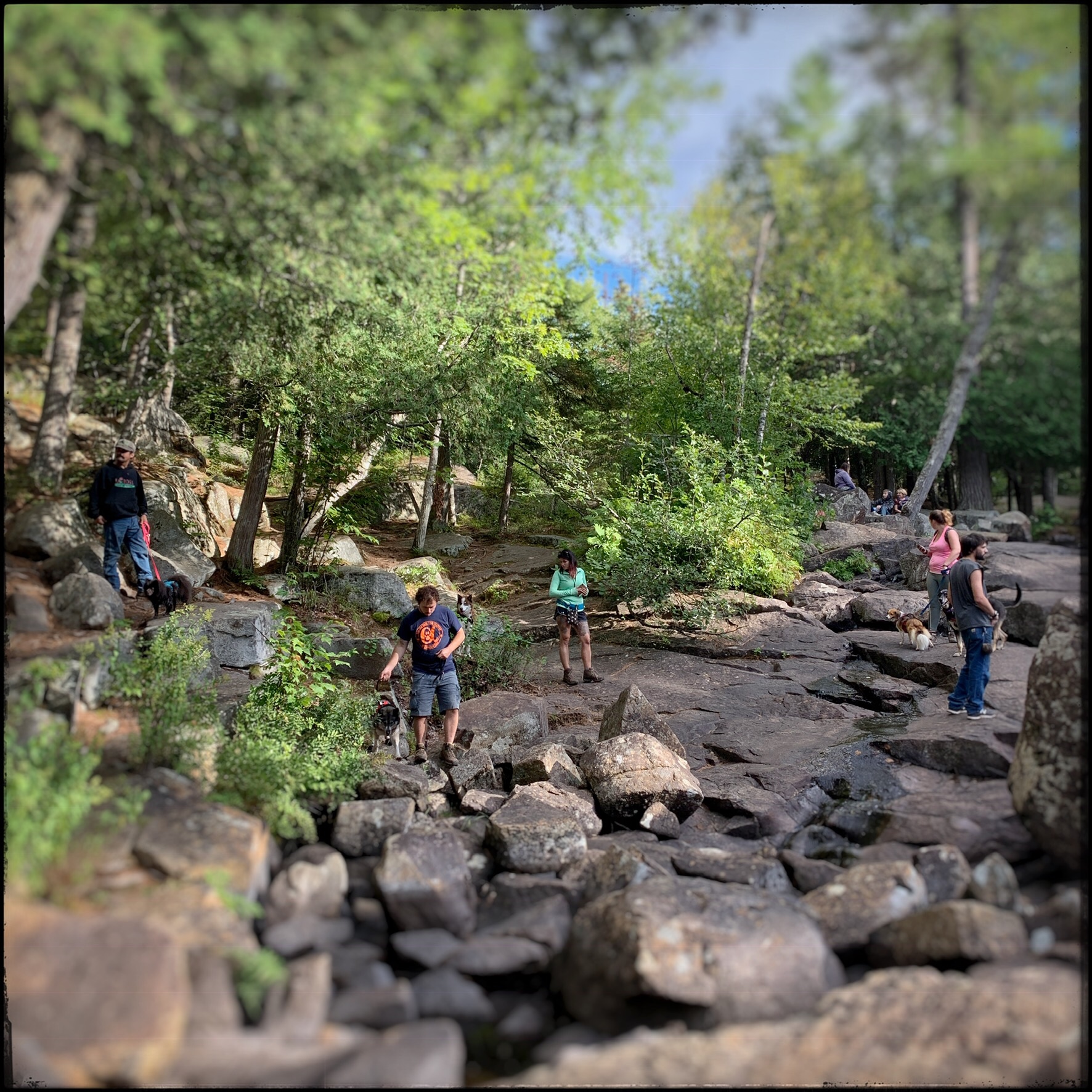 people with dogs tramping about at Buttermilk Falls ~ (embiggenable) • iPhone