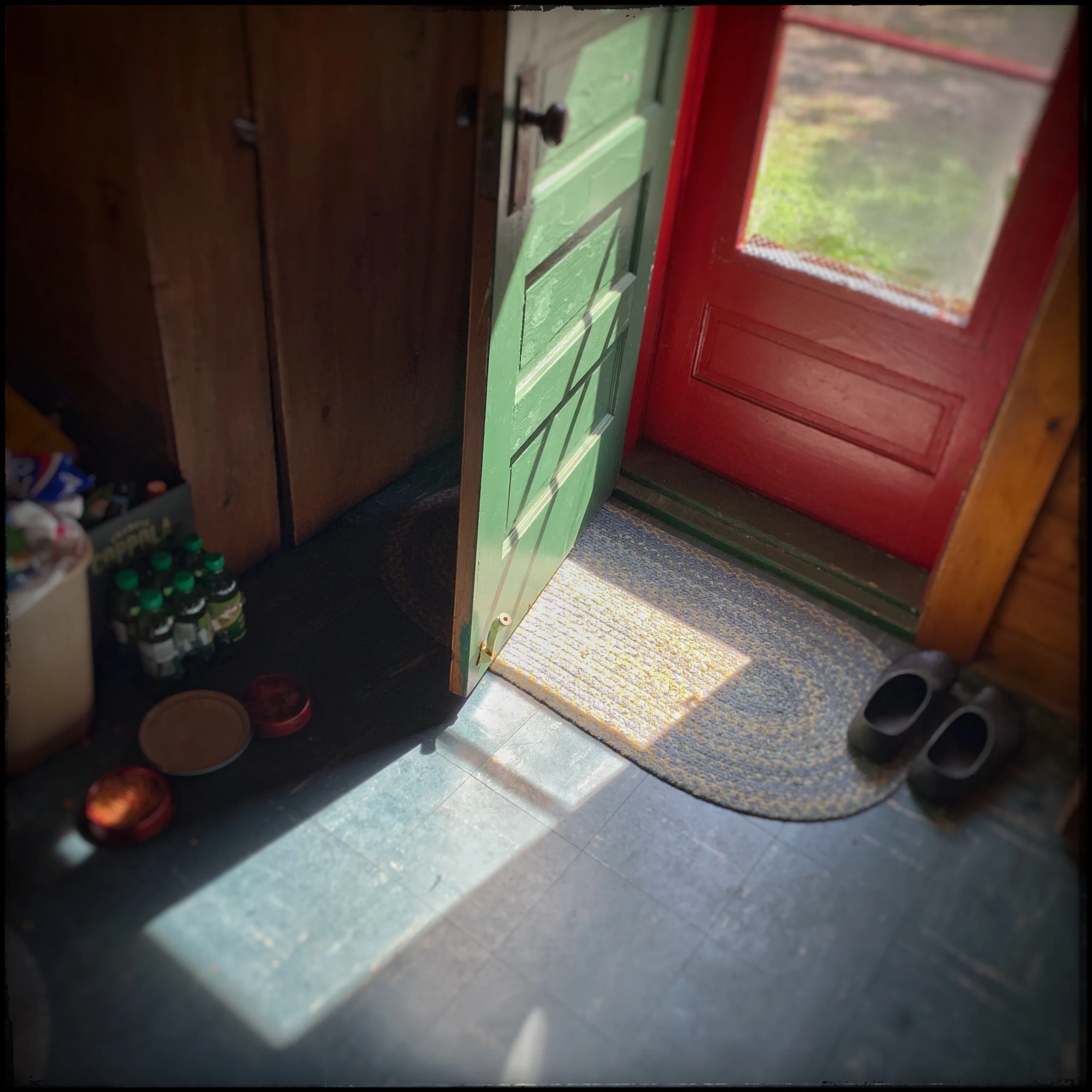 sunlight ~ (embiggenable) • iPhone