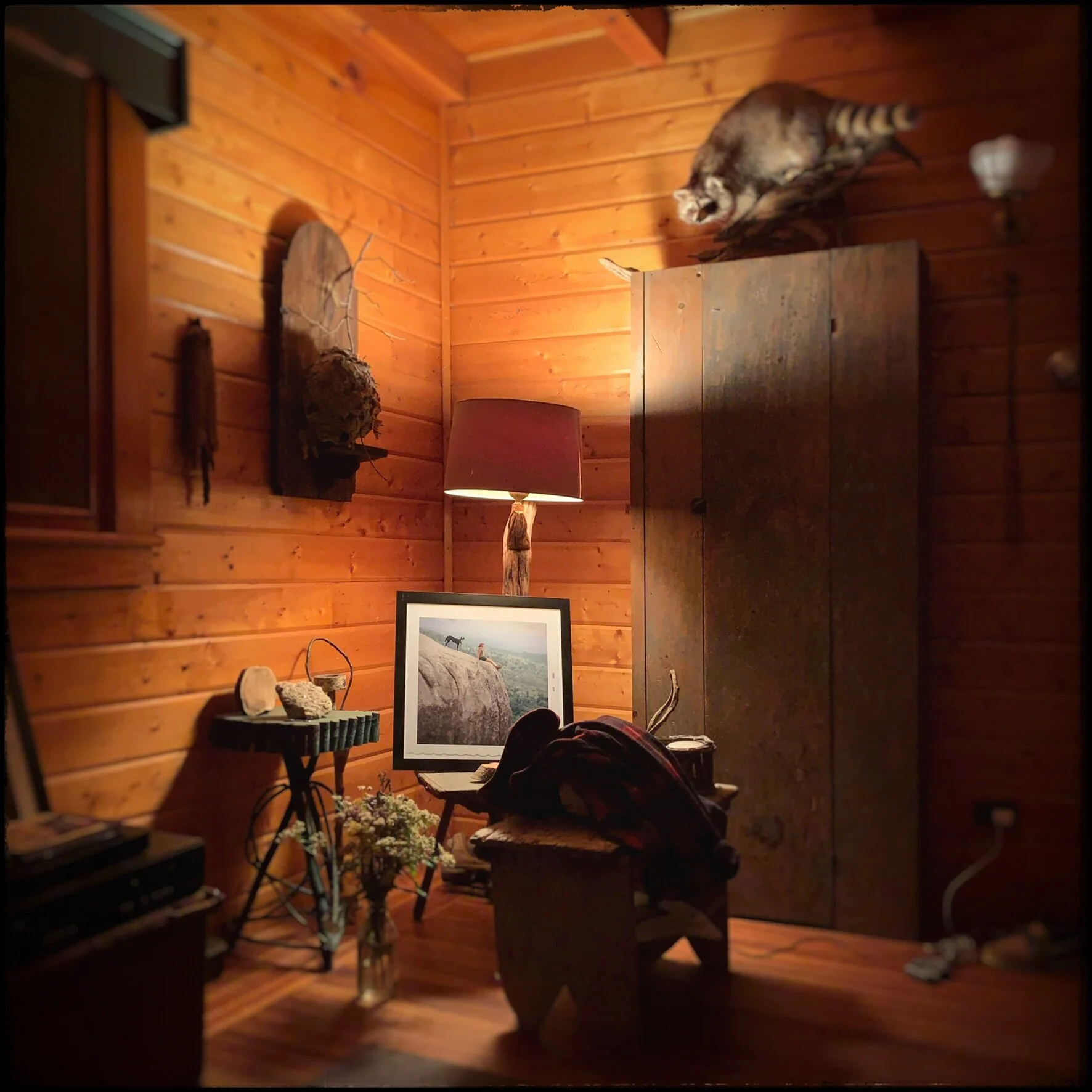 picture of and in a corner at Rist Camp ~ (embiggenable) • iPhone