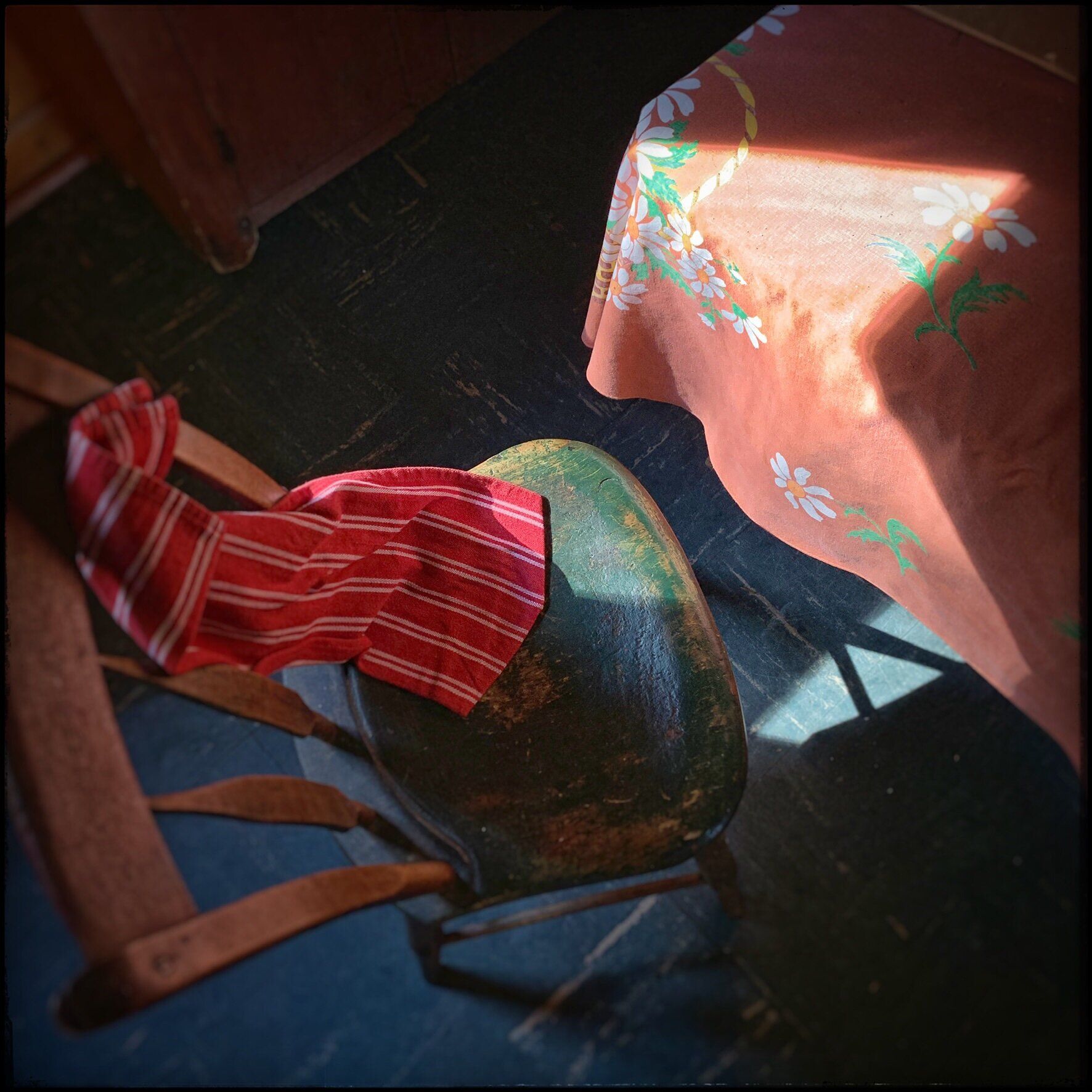 at Rist Camp - in the Adirondack Park ~ (embiggenable) • iPhone