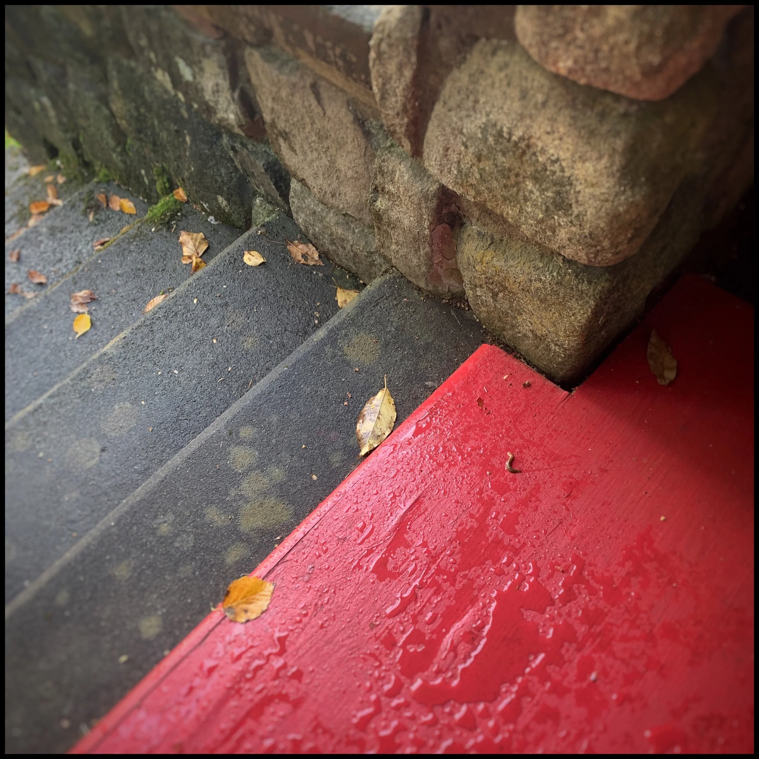 (embiggenable) • iPhone