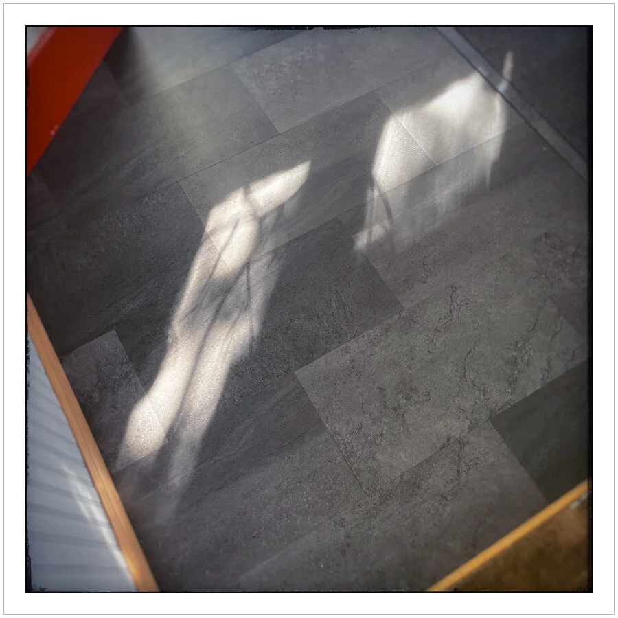 (embiggenable) • iPhone