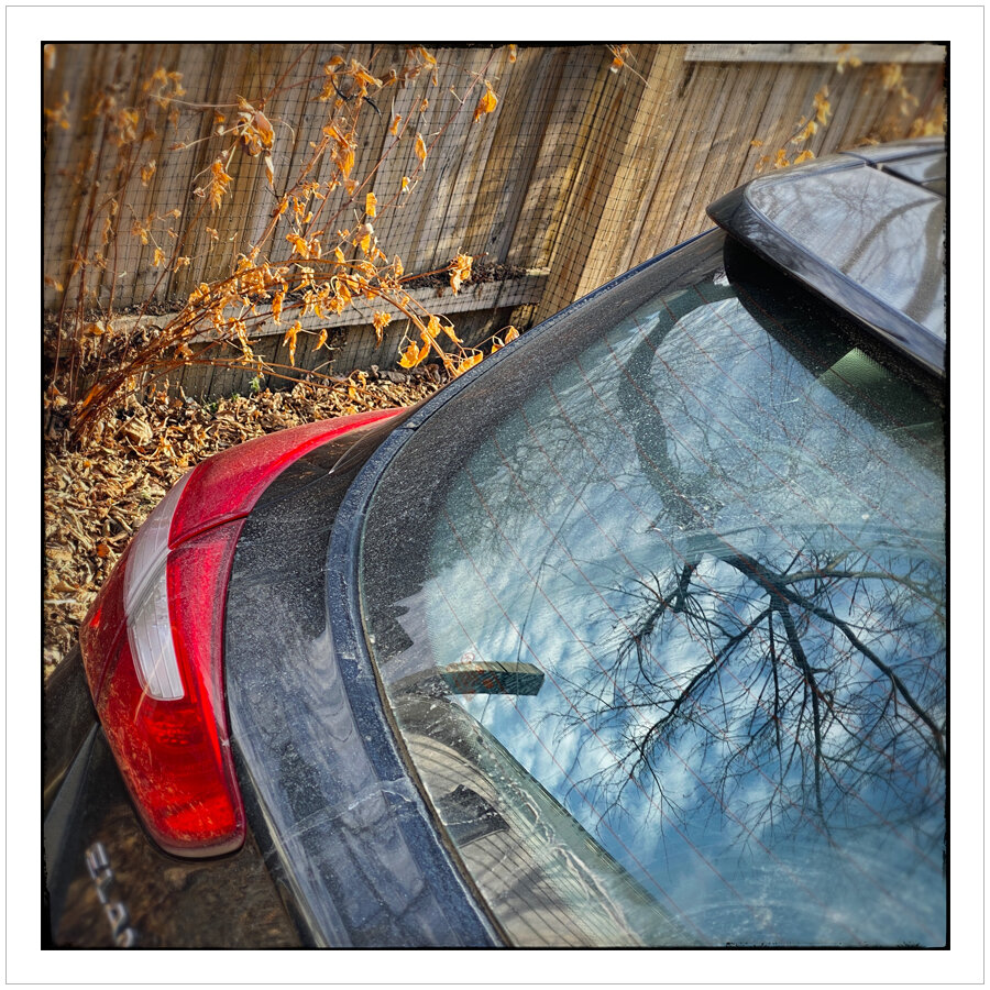 (embiggenable) • iPhone