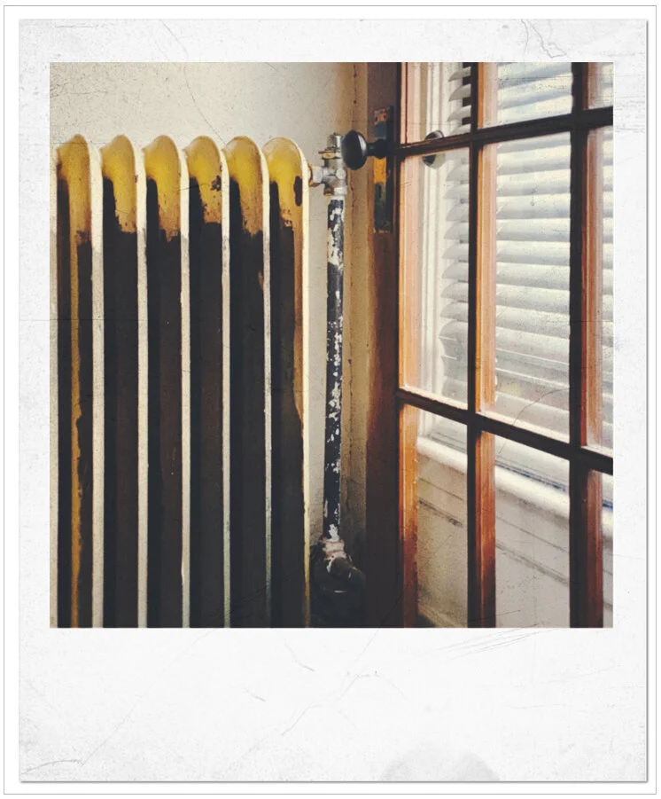 polaradiatordoor.jpg