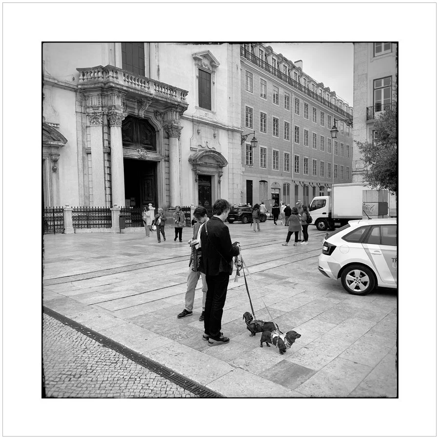 insituportugal6.jpg