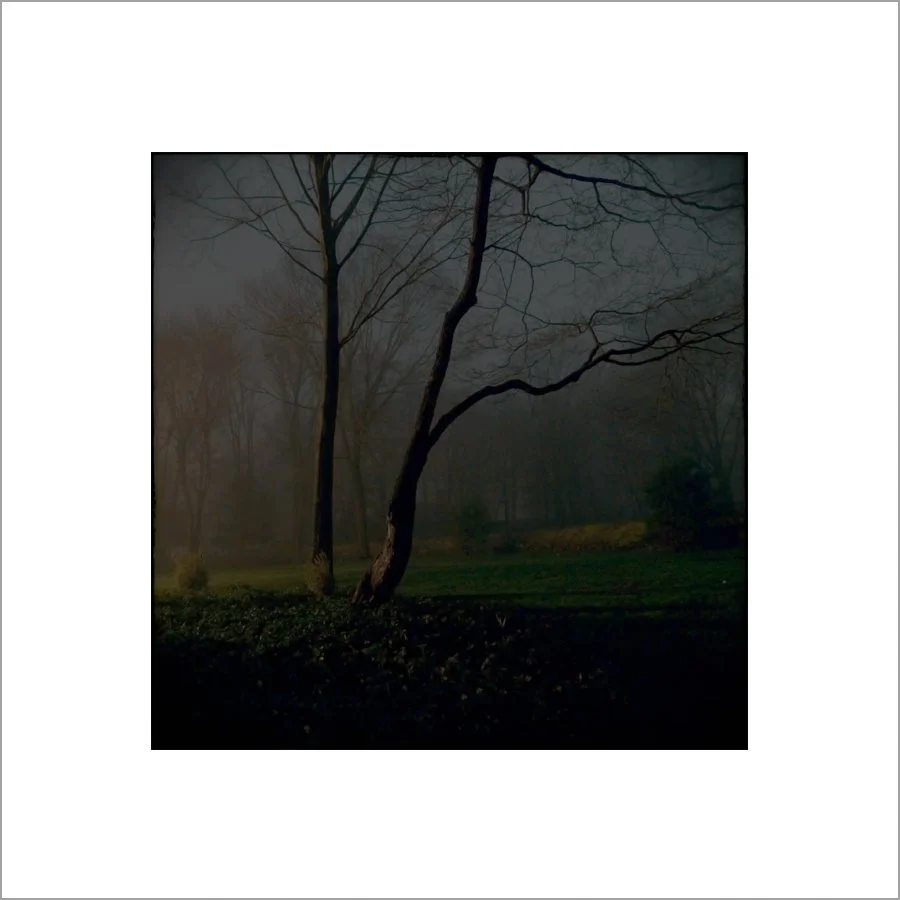 nocturnal7.jpg