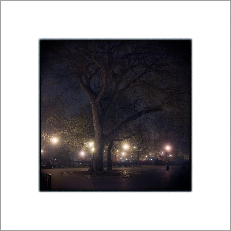 nocturnal9.jpg