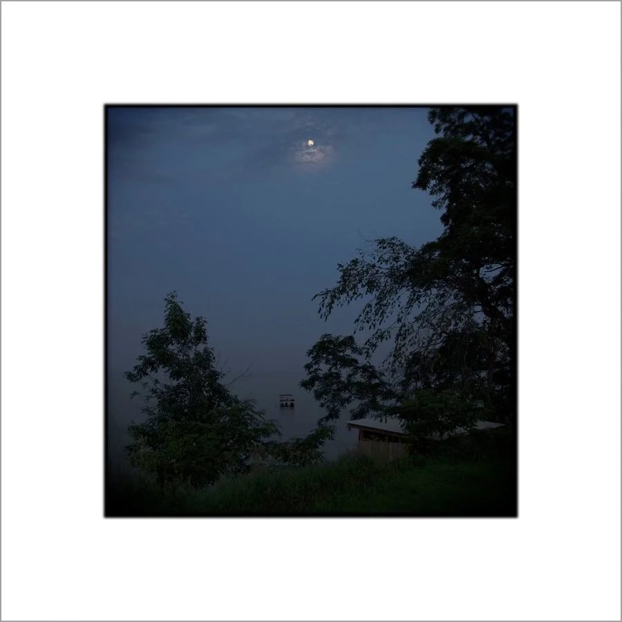 nocturnal10.jpg