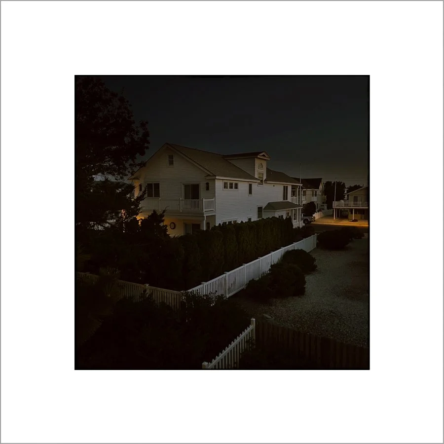 nocturnal13.jpg