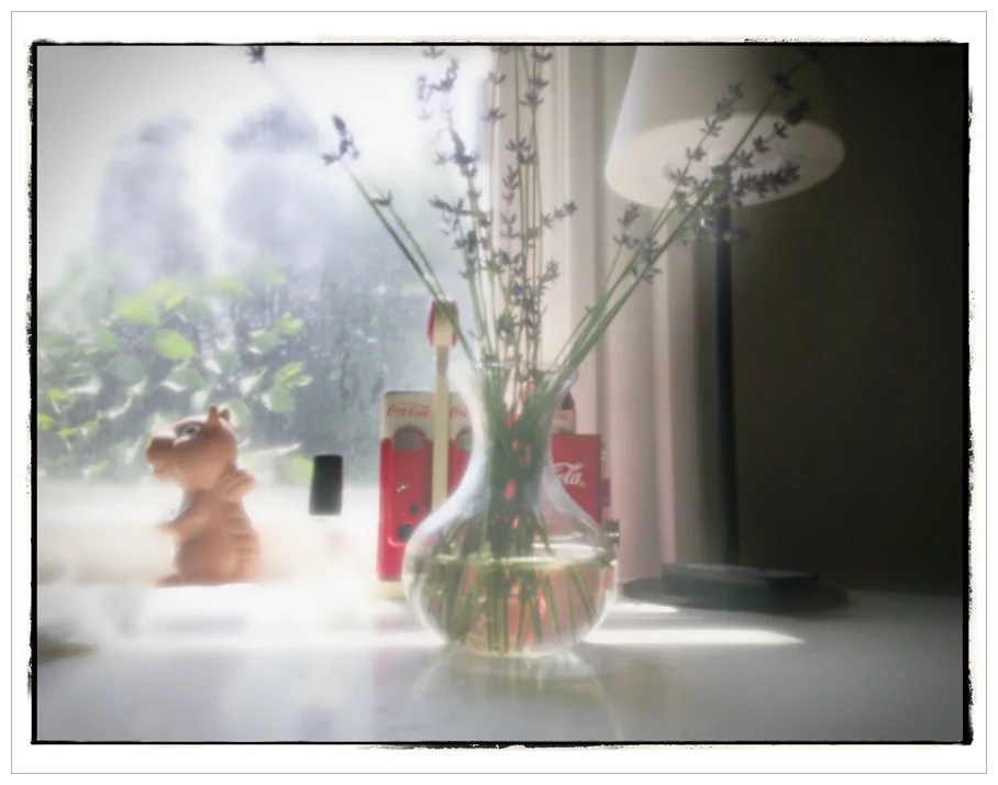 chuzhaocafeplant.jpg