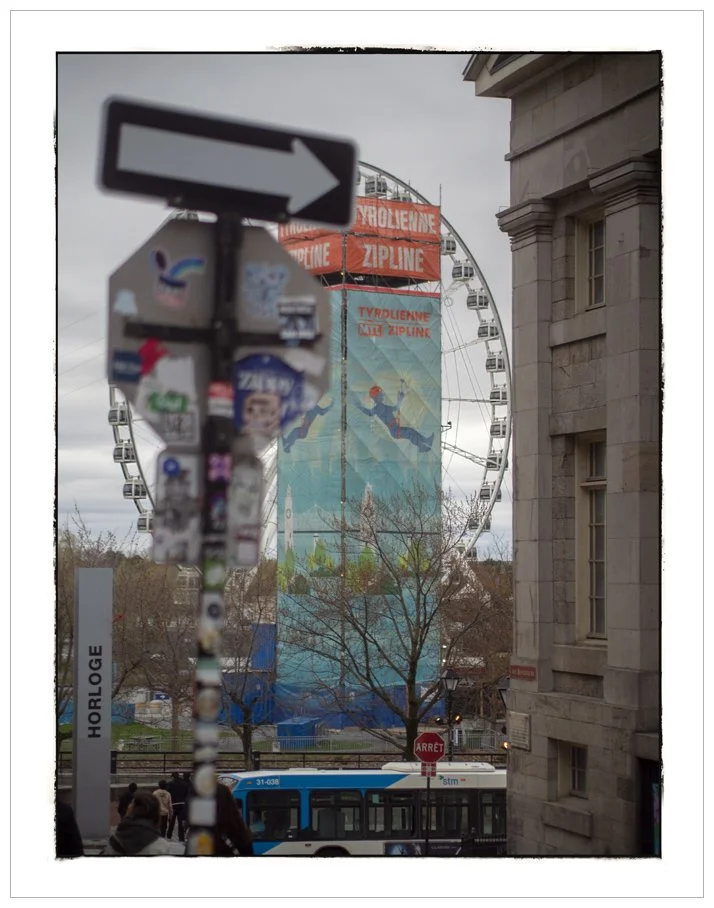 zipline.jpg