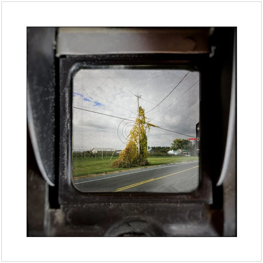 viewfinder1.jpg