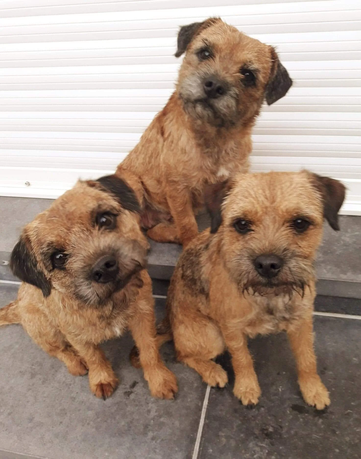 Bentley of Lightning Spot &amp; kids