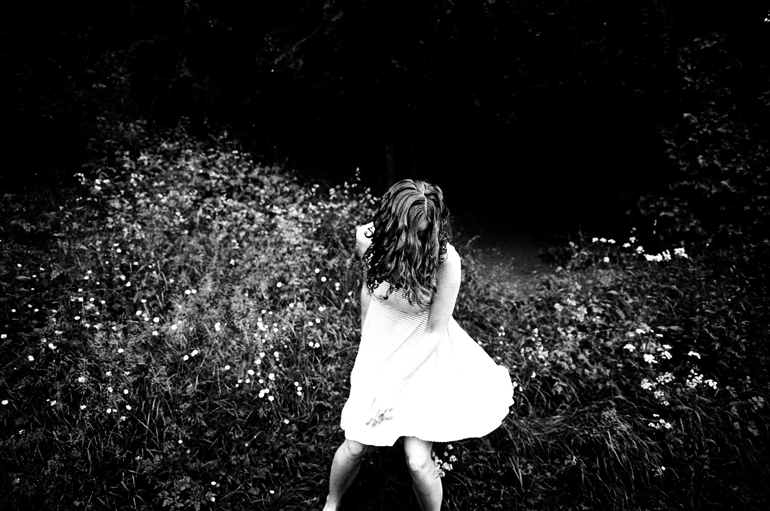 (Untitled)