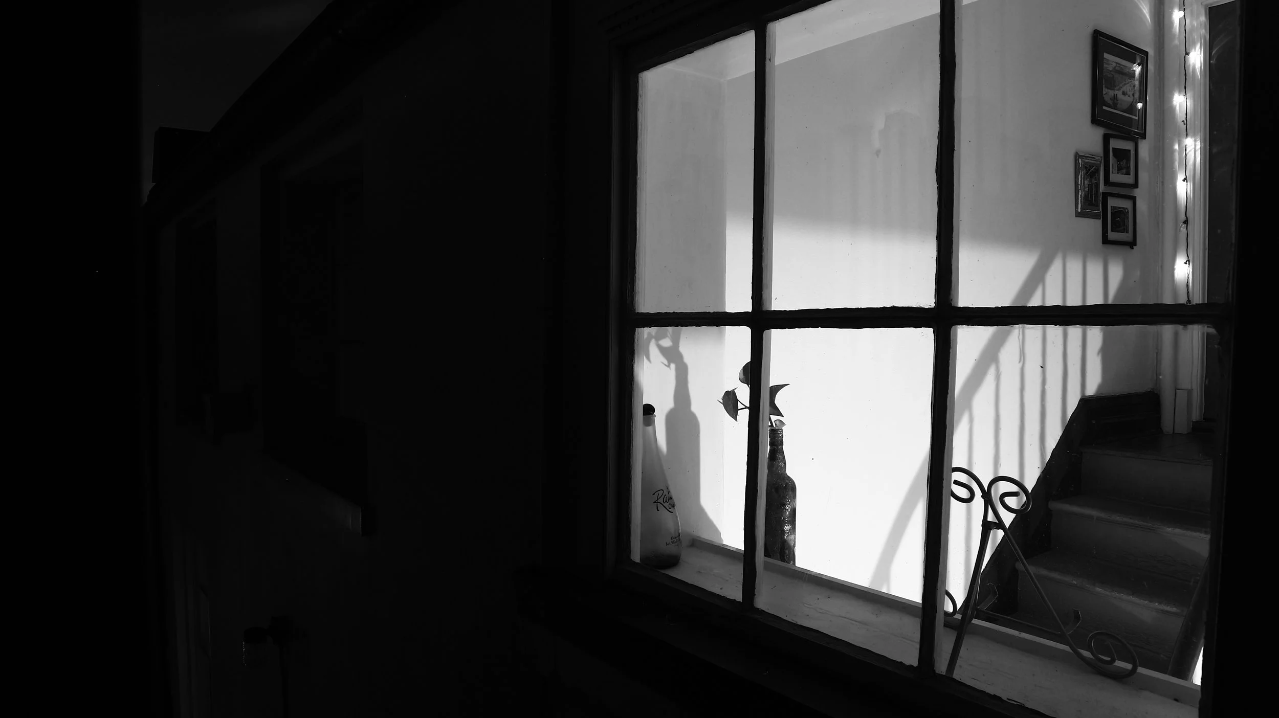 The Panes of Nocturne - Pirates Alley - Vieux Carré
