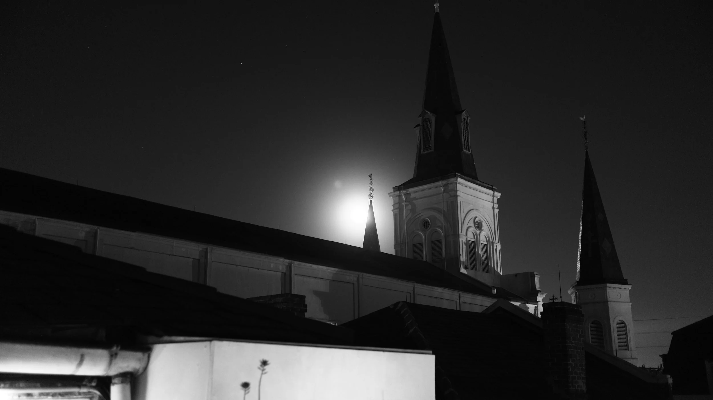 Close encounter in the Vieux Carré
