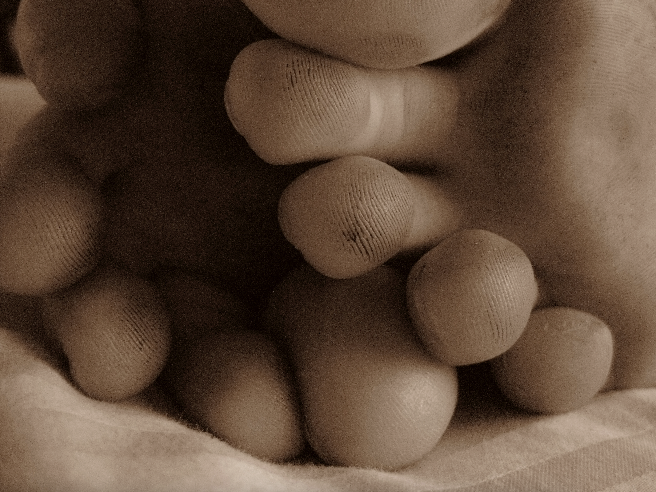 Toes  Hollywood.png