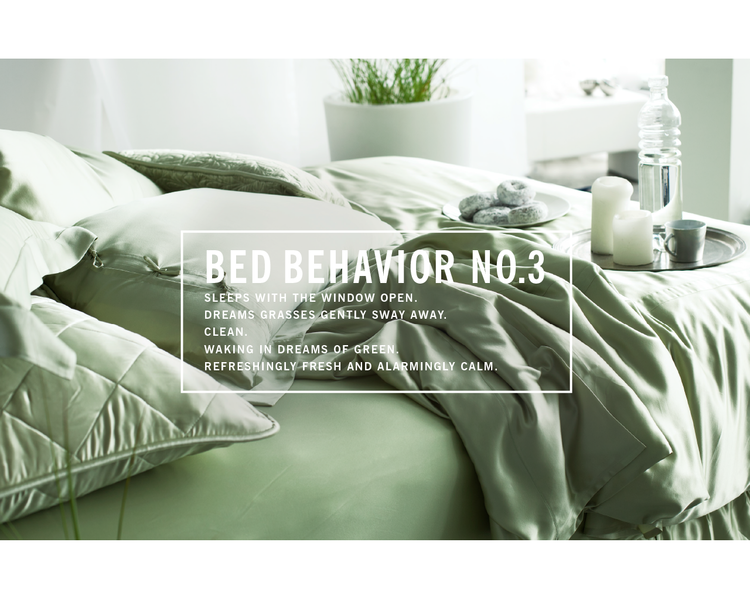 bed2.png