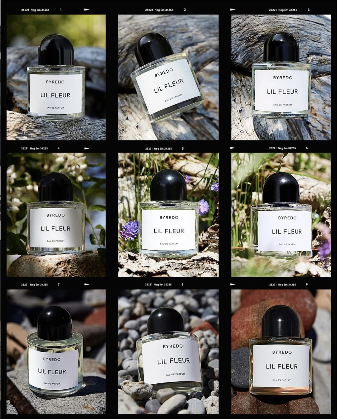 multi-bydreo copy.jpg