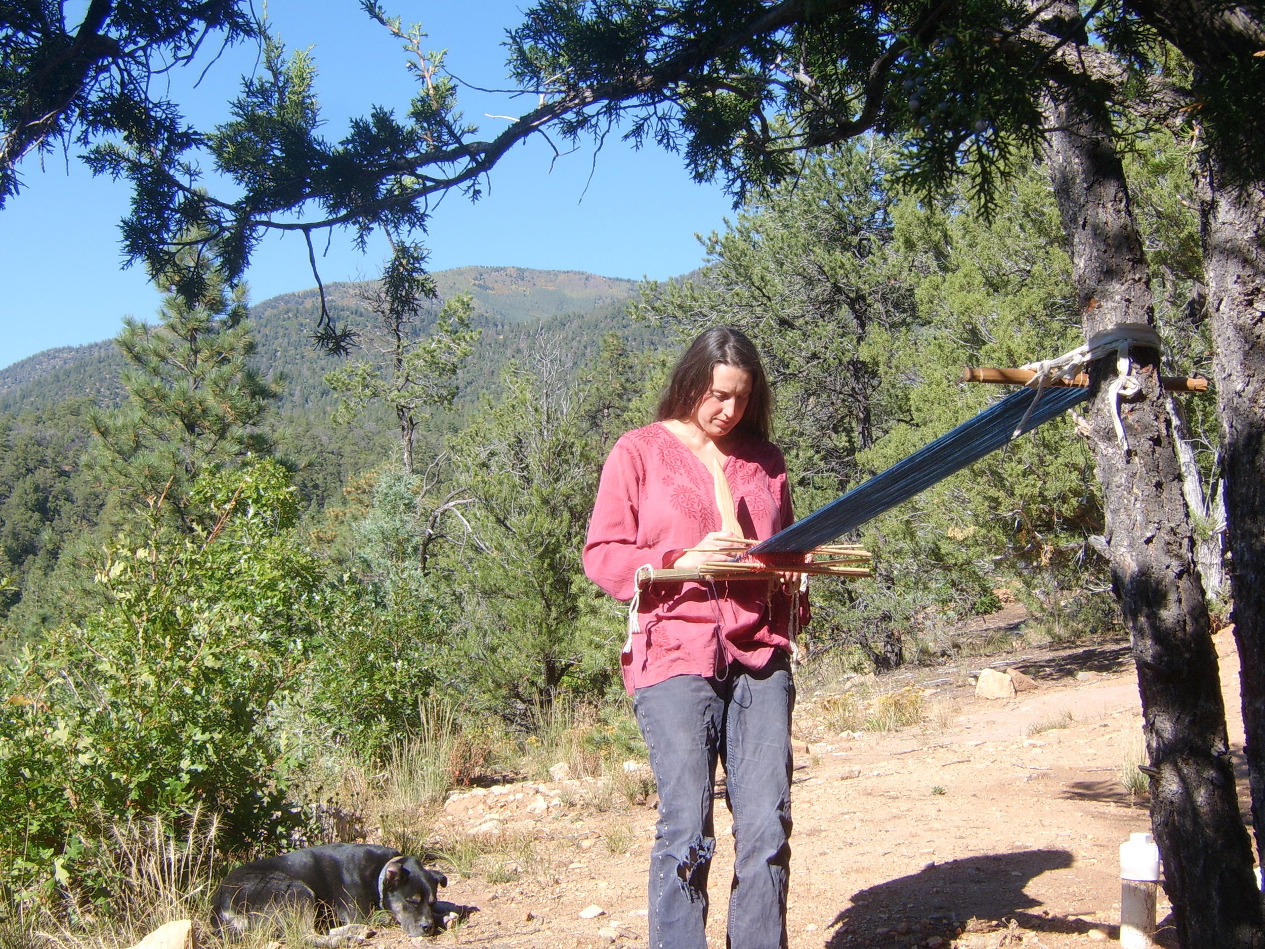 STA60240.jpg