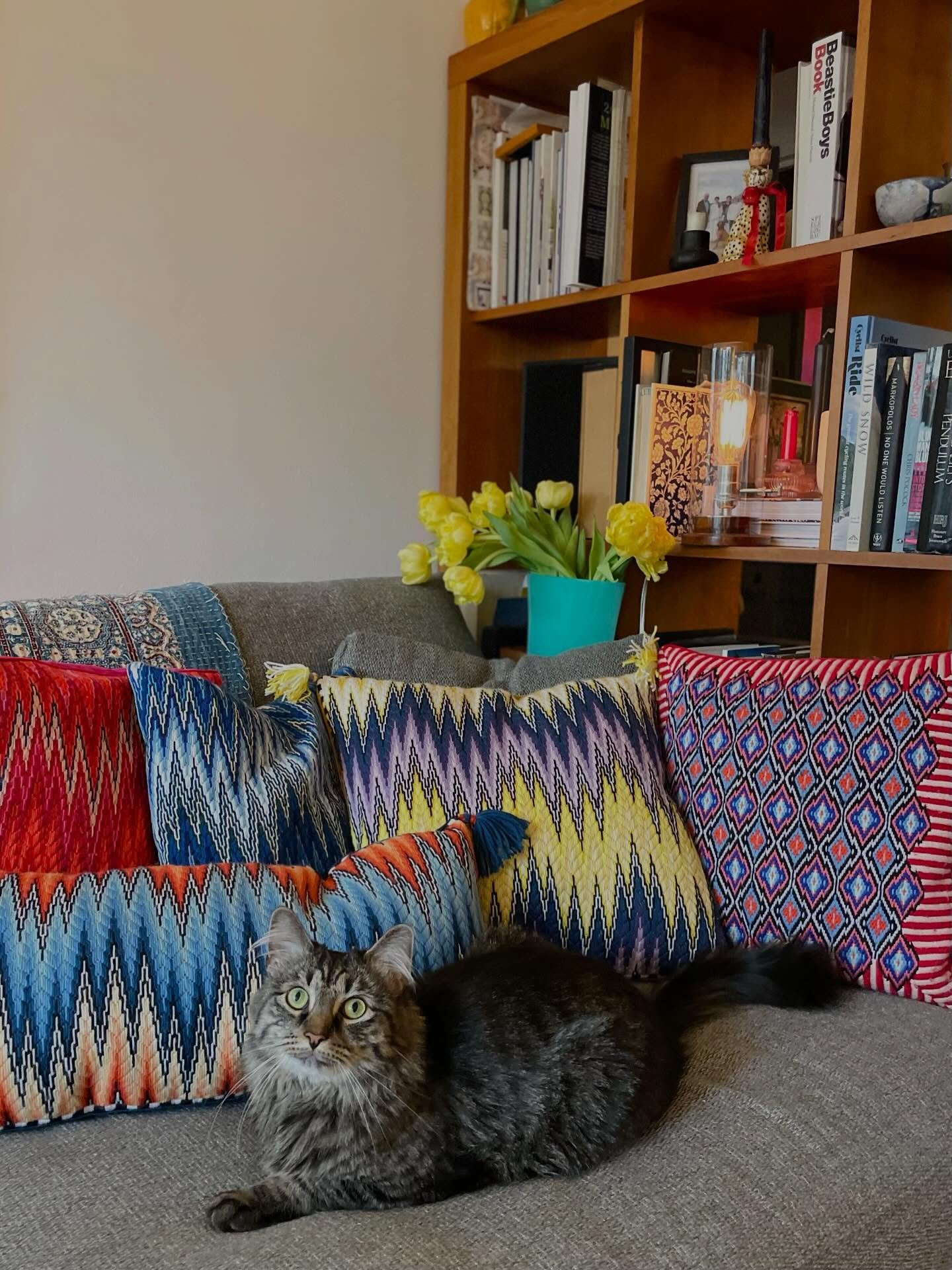 Weekend plans: fight the cat for this spot on the sofa. 
#bargello #pillow #needlepointersofinstagram #diydecor