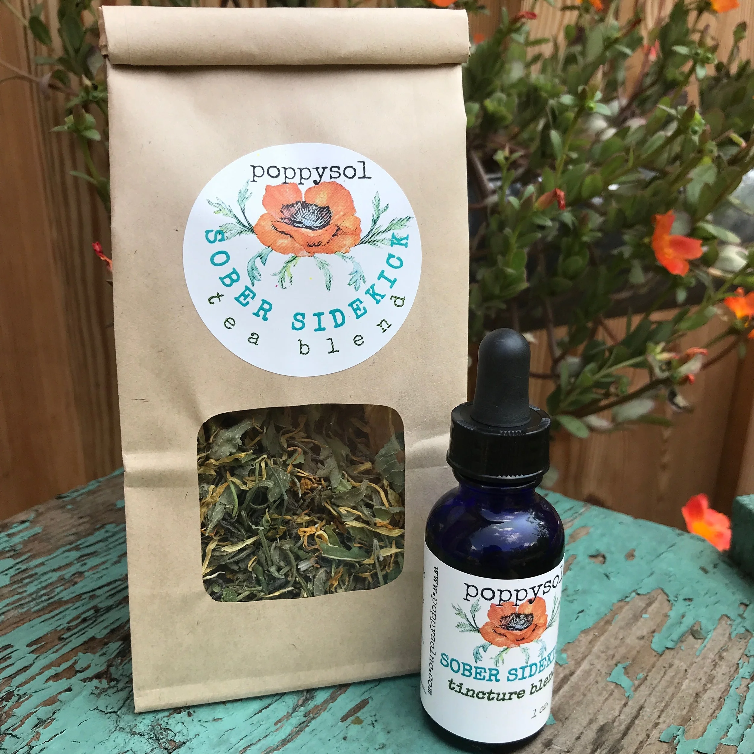 Sober Sidekick, supports for a break from alcohol — poppysol