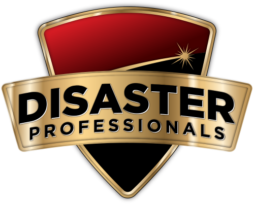 disaster-professionals-logo.png