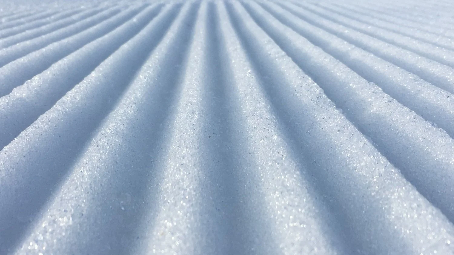 snow.jpg