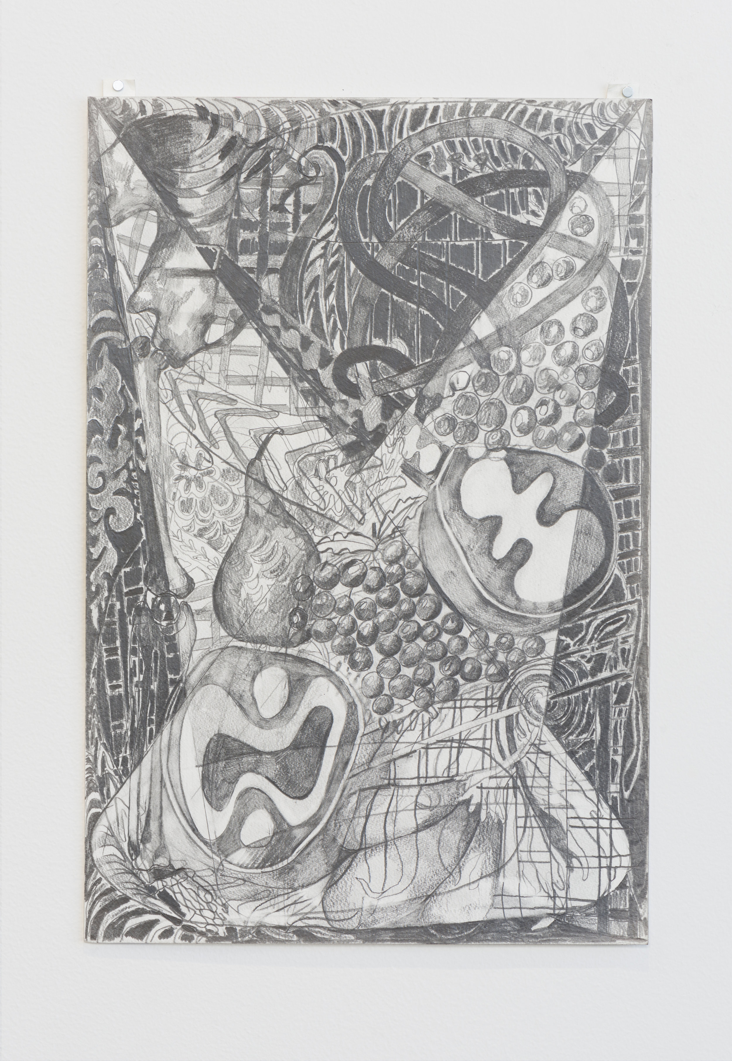   Daniel Ingroff    Bouzouki   2017 Graphite on paper 18 x 12 inches 