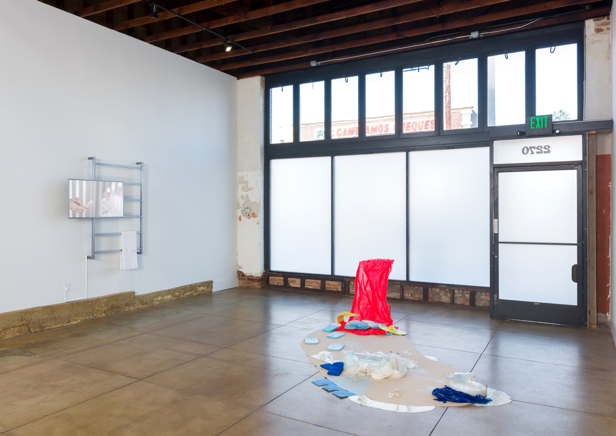 Installation view of Corpus Alienum November 3 - December 1, 2017 Photo by Ruben Diaz Link to Press Release