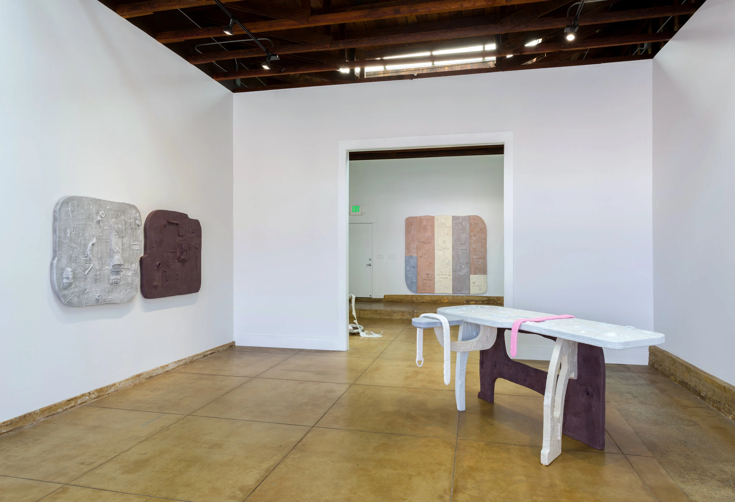 Installation view of Corpus Alienum November 3 - December 1, 2017 Photo by Ruben Diaz Link to Press Release