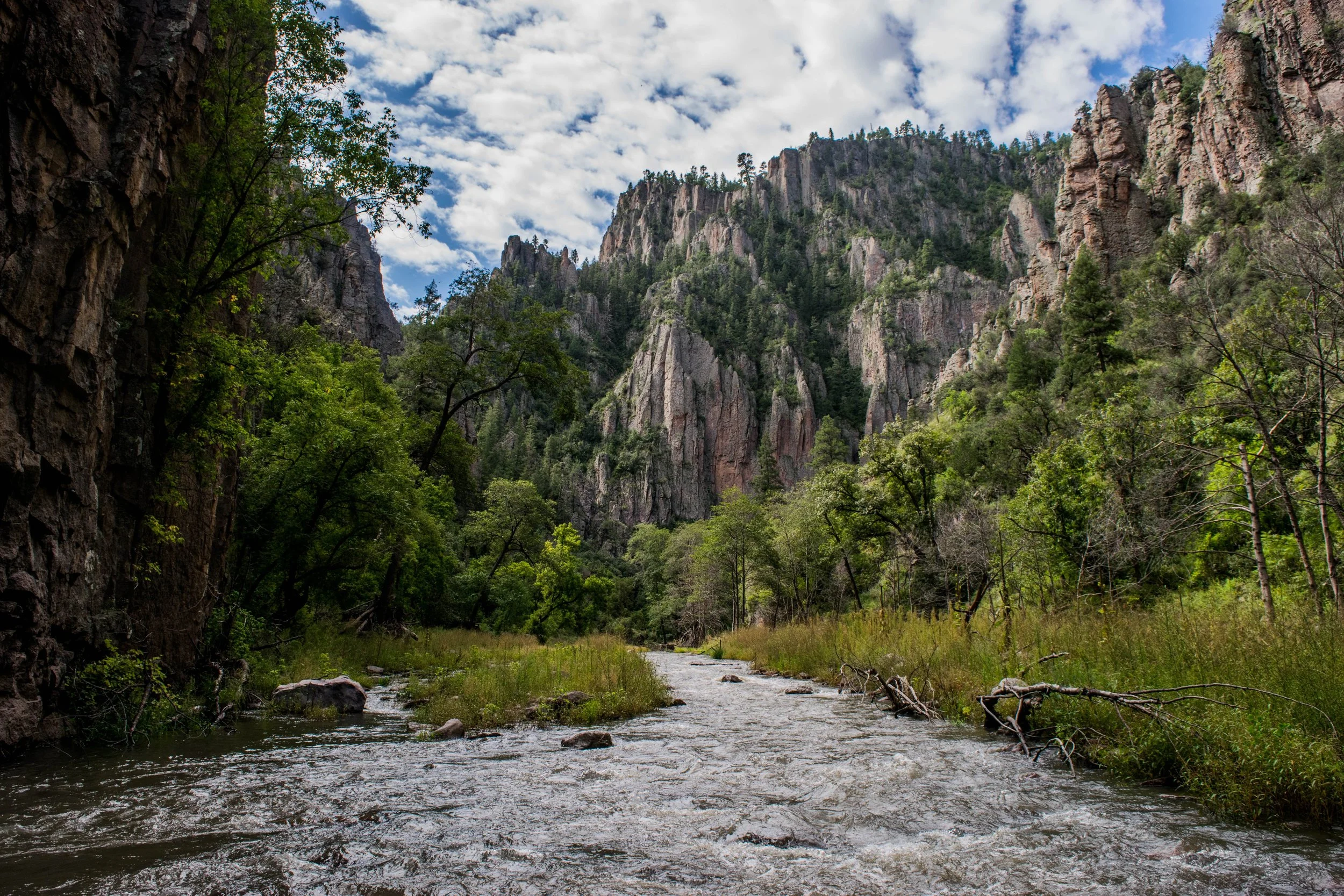 Gila Wilderness near Mimbres River Valley, NM