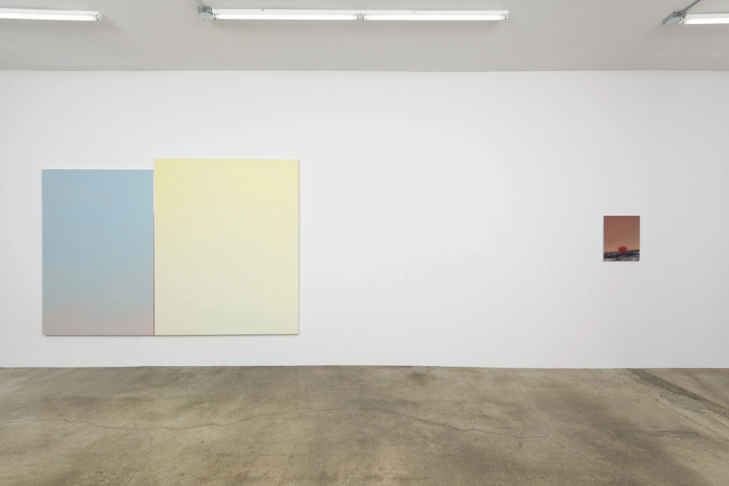 Installation view of Mara De Luca: LIGHTBRIDGE February 3 - March 17, 2019 Photo by Jeff McLane Link to press release.
