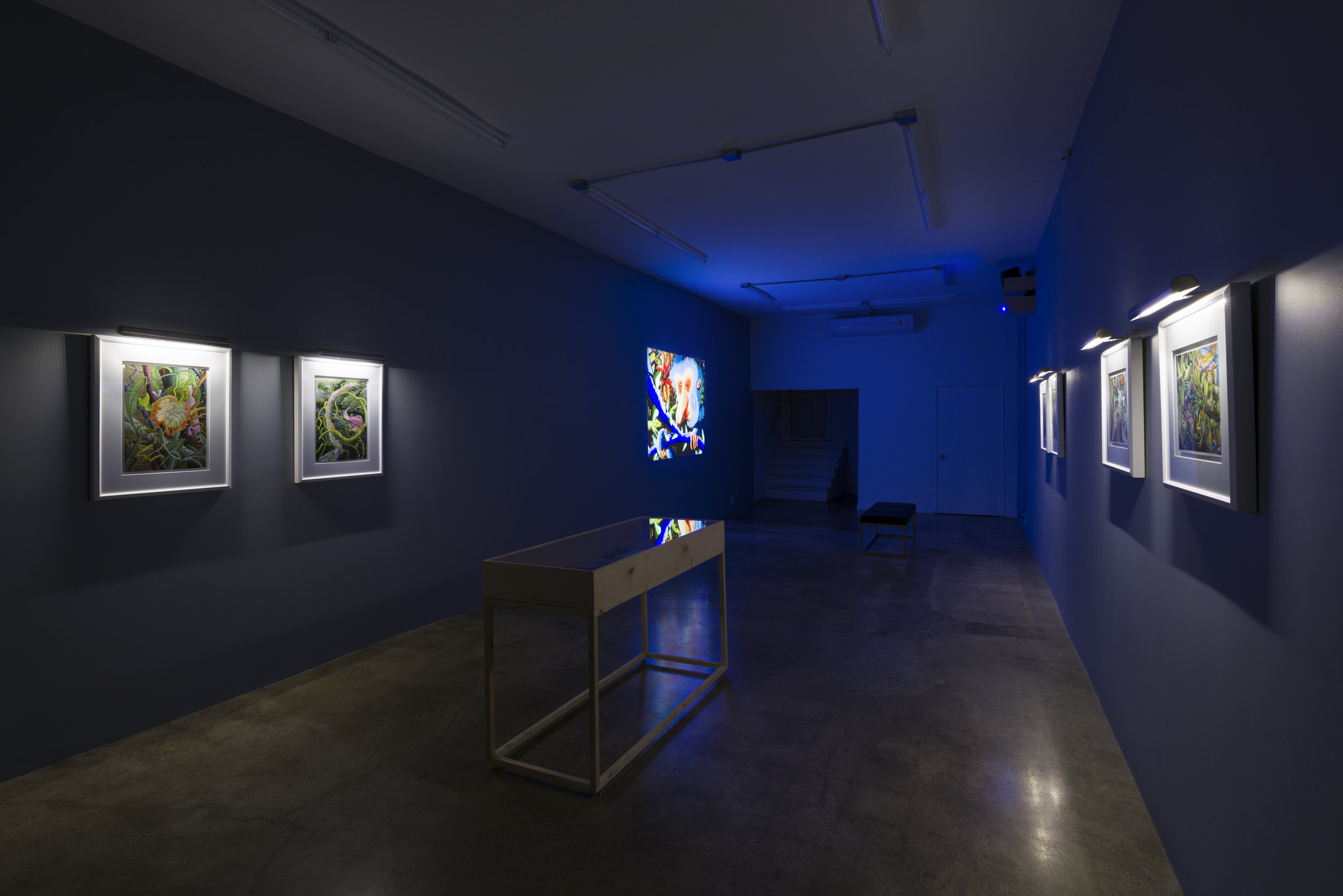  Installation view of Suzan Pitt:  Joy Street   March 31 - May 5, 2019  Photo by Ruben Diaz   Link to press release.  